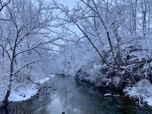 Nearby Mill Creek in winter