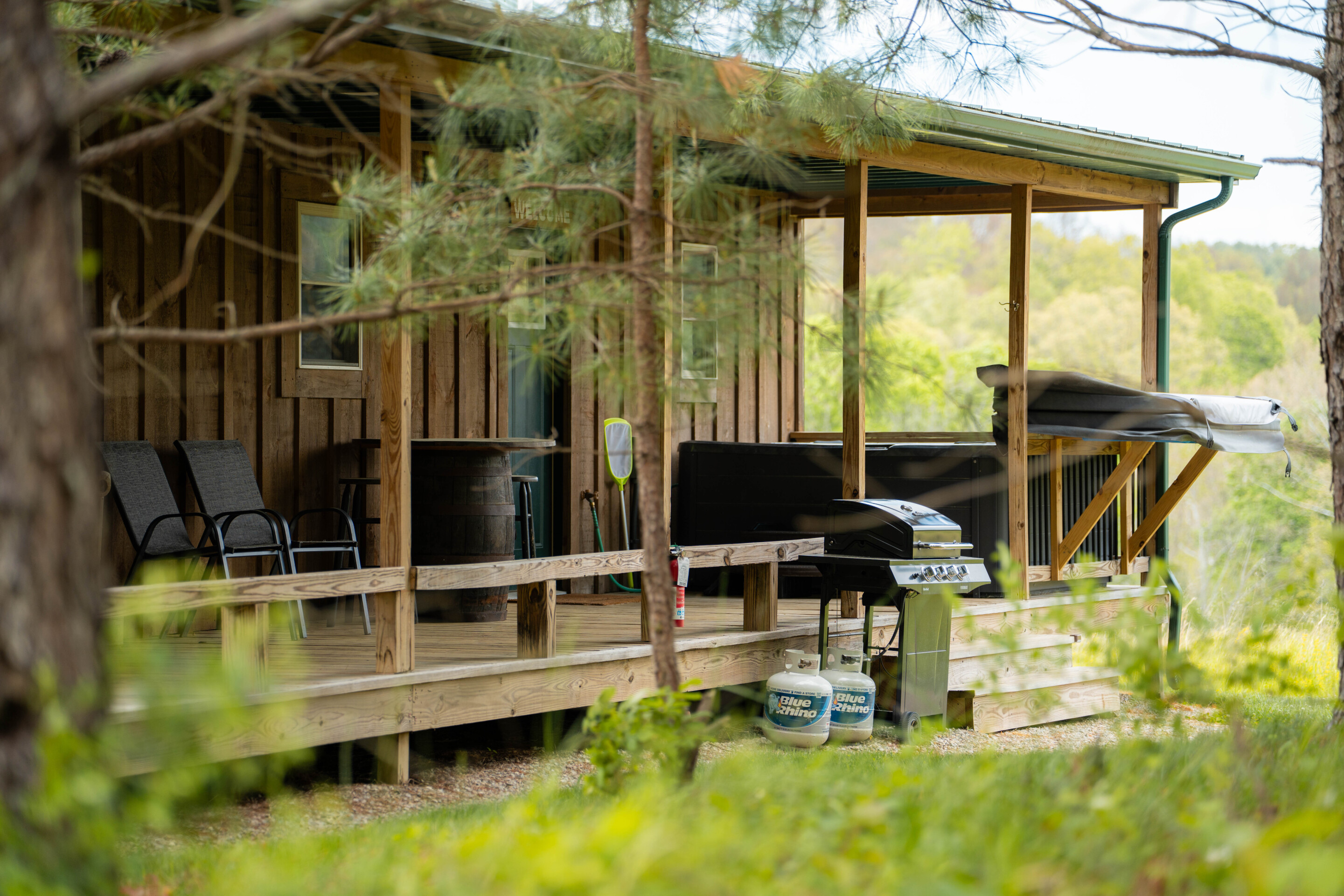 Golden Pine | Photo 2
