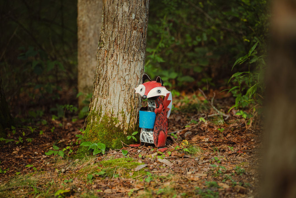 The Scarlet Fox | Photo 66
