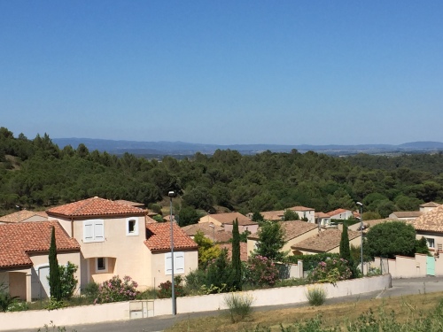 Residential area in forest surroundings