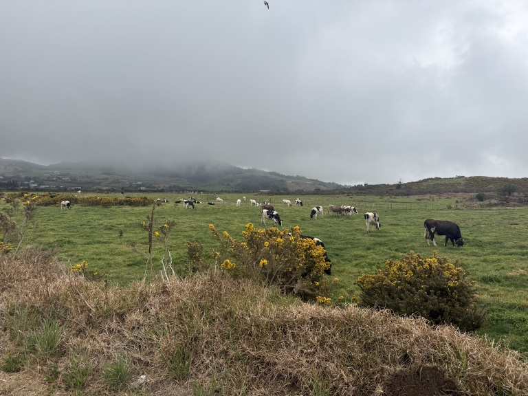 L’Eden De La Grande Ferme