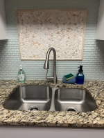 sink has pull down spray 