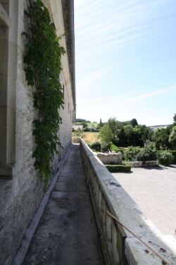 Coursive