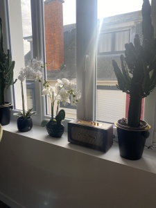 fenêtres double vitrage