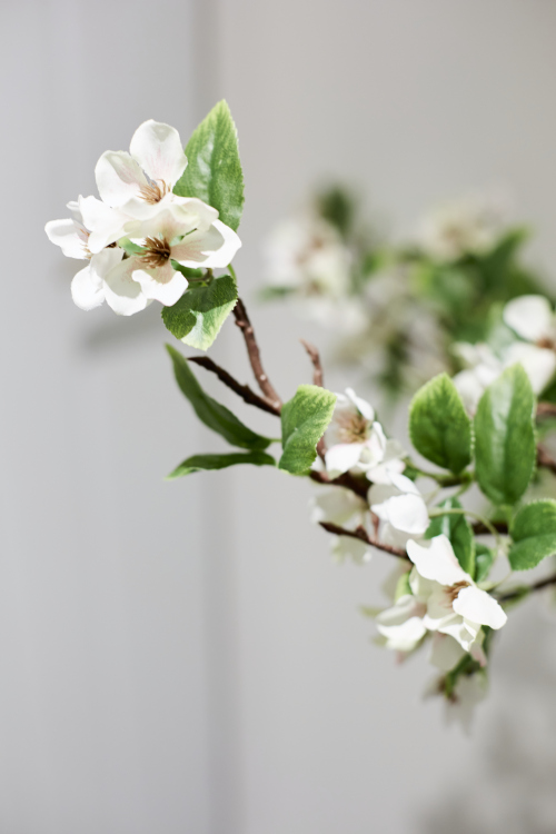 Stylish interior spaces designed to make you feel at home.