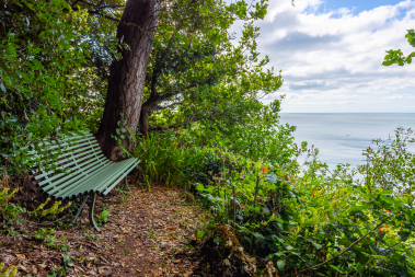 Seating along the private woodland path