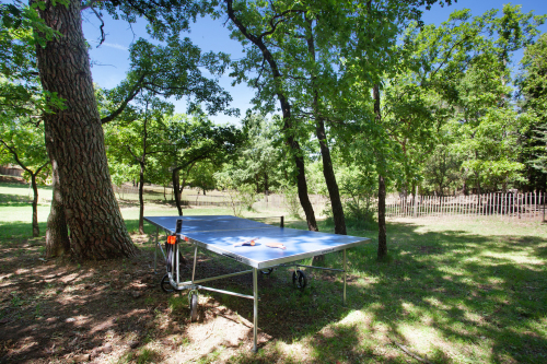 La table de ping-pong sous les arbres