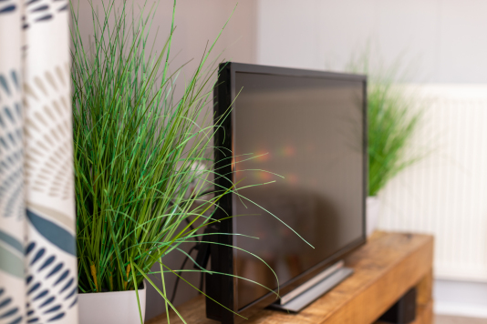 Smart TV with Netflix