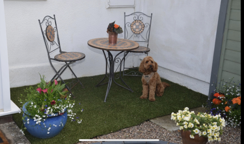 Cottage in Worcestershire - Furry friends welcome