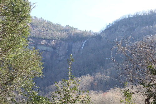 View from Lazy Lodge and Waterfall Cabin