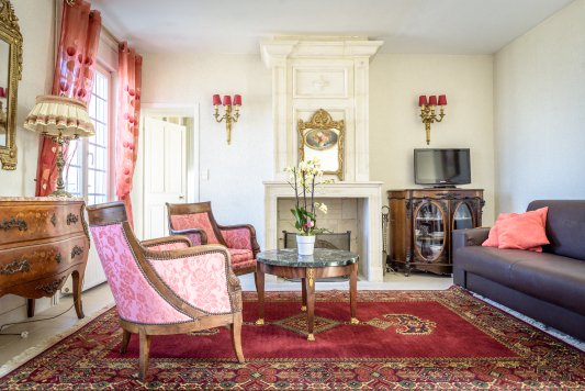Salon avec canapé-lit (second couchage)