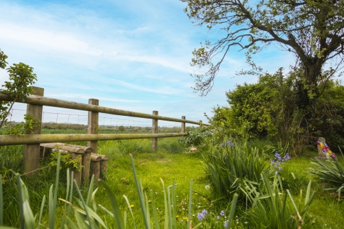 Views from The Cabin and Mulsford Garden