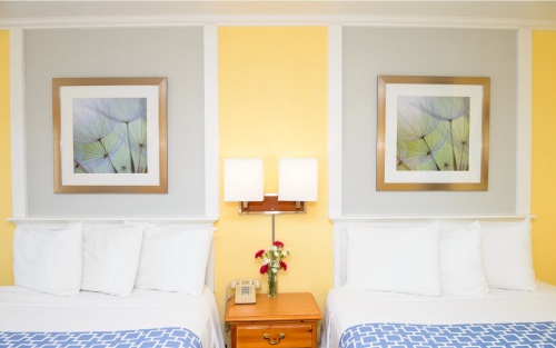 Quad room-Ensuite-Superior-Two Queen Room