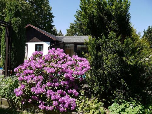 Frühling