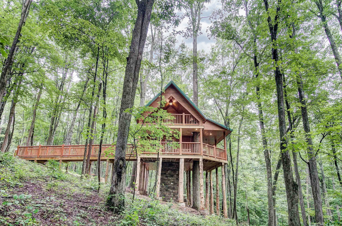 24234 The Canopy Treehouse- Canopy Ridge Cabins