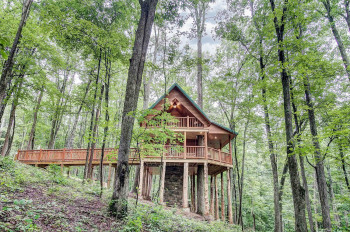The Canopy Treehouse- Canopy Ridge Cabins  - 
