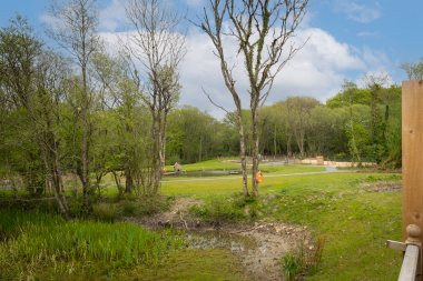 View from patio area