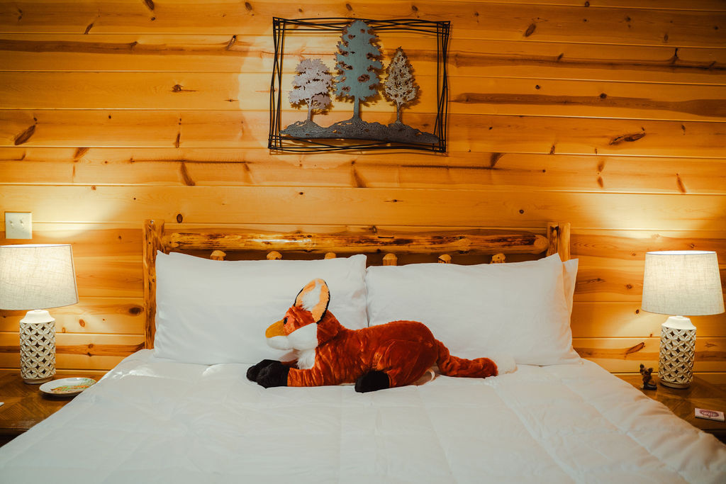 The Scarlet Fox | Photo 25