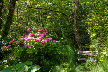 Enjoy nature along the private woodland path to the beach