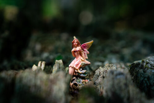 Hunt for forest folk in our woodland fairy walk