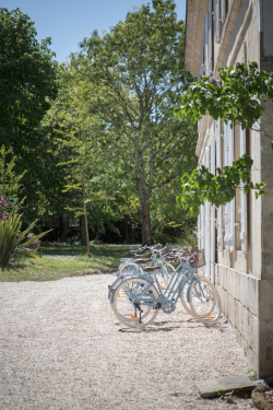 Location de vélos