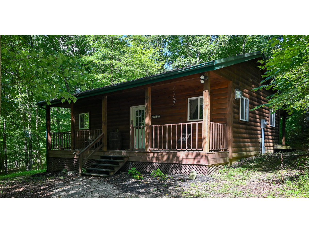 31536 A Beary Cozy Cabin