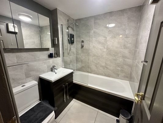 New luxury bathroom with electric shower