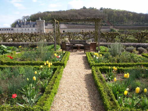 Notre jardin avec vue sur le Chateau et les Jardin de Villandry