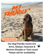 Dog friendly rooms