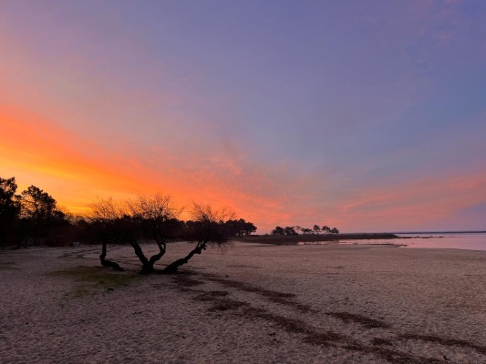 A 50 m de la maison la plage Suzette, également point de départ de la pêche à pied