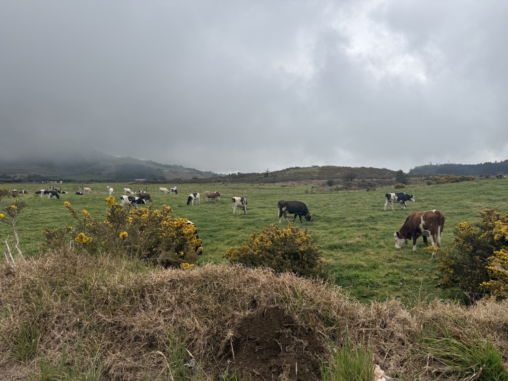 L'Eden De La Grande Ferme