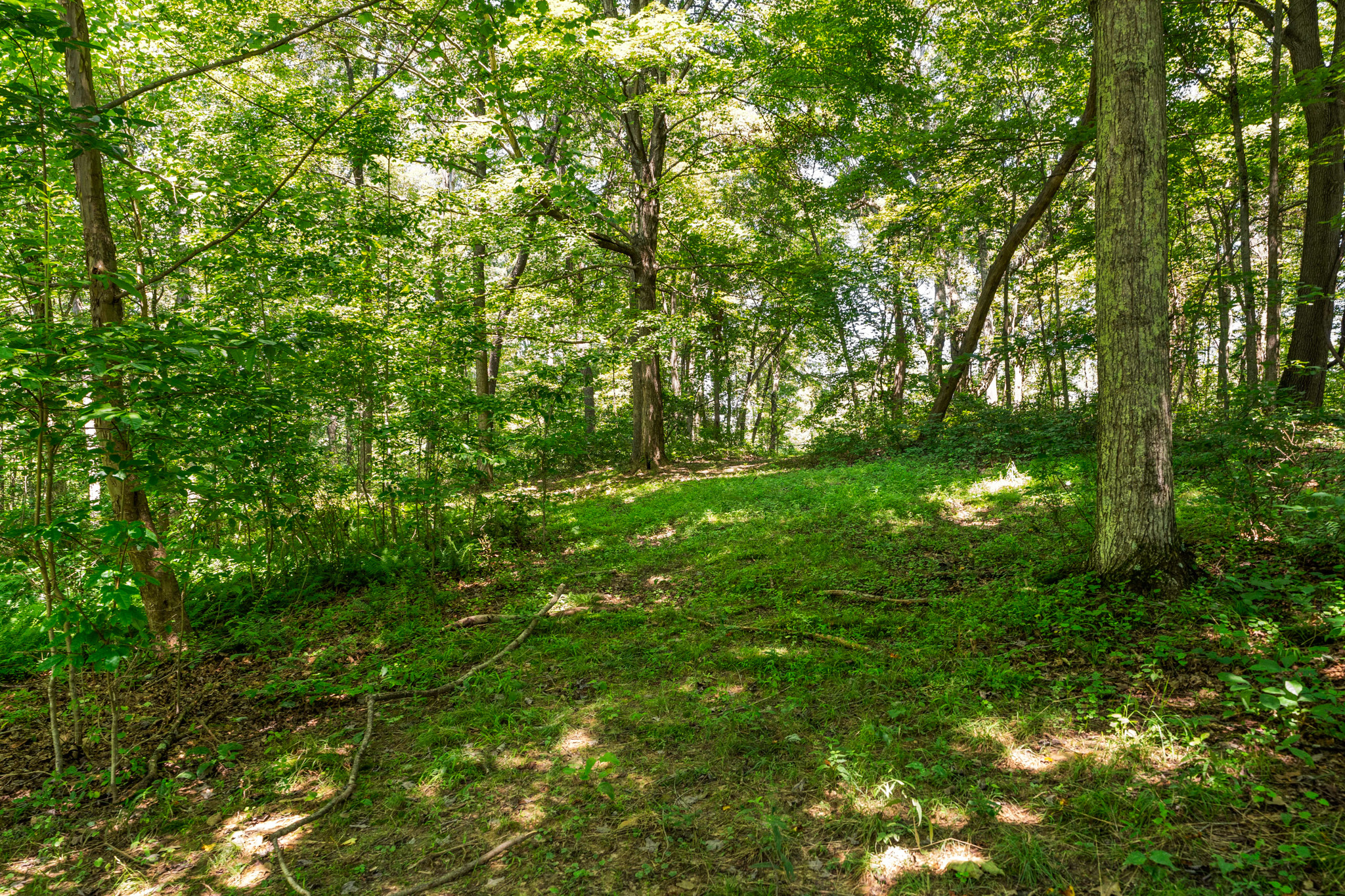 All Seasons Lodge | Photo 55