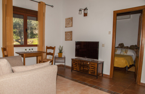 Salon Abejaruco