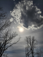 View of the Sky at Dusk