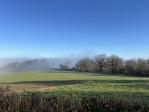 Walking Nearby
