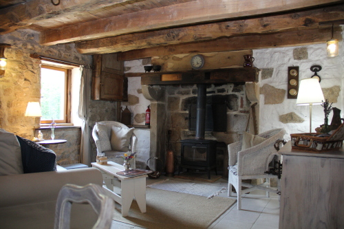 Seating and fireplace