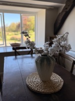 Dining Table with view over adjoining hotel garden