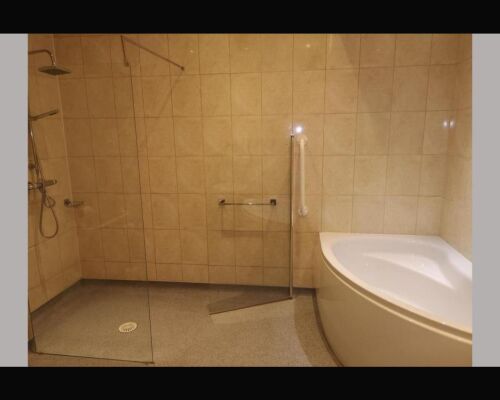 Suite-Deluxe-Wet room-Accessible room - Base Rate