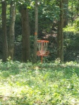 Disc Golf
