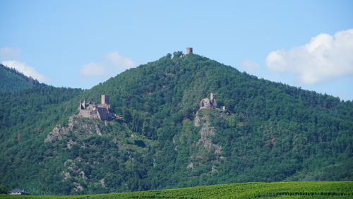 vue sur les 3 châteaux de Ribeauvillé