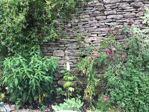 Courtyard garden