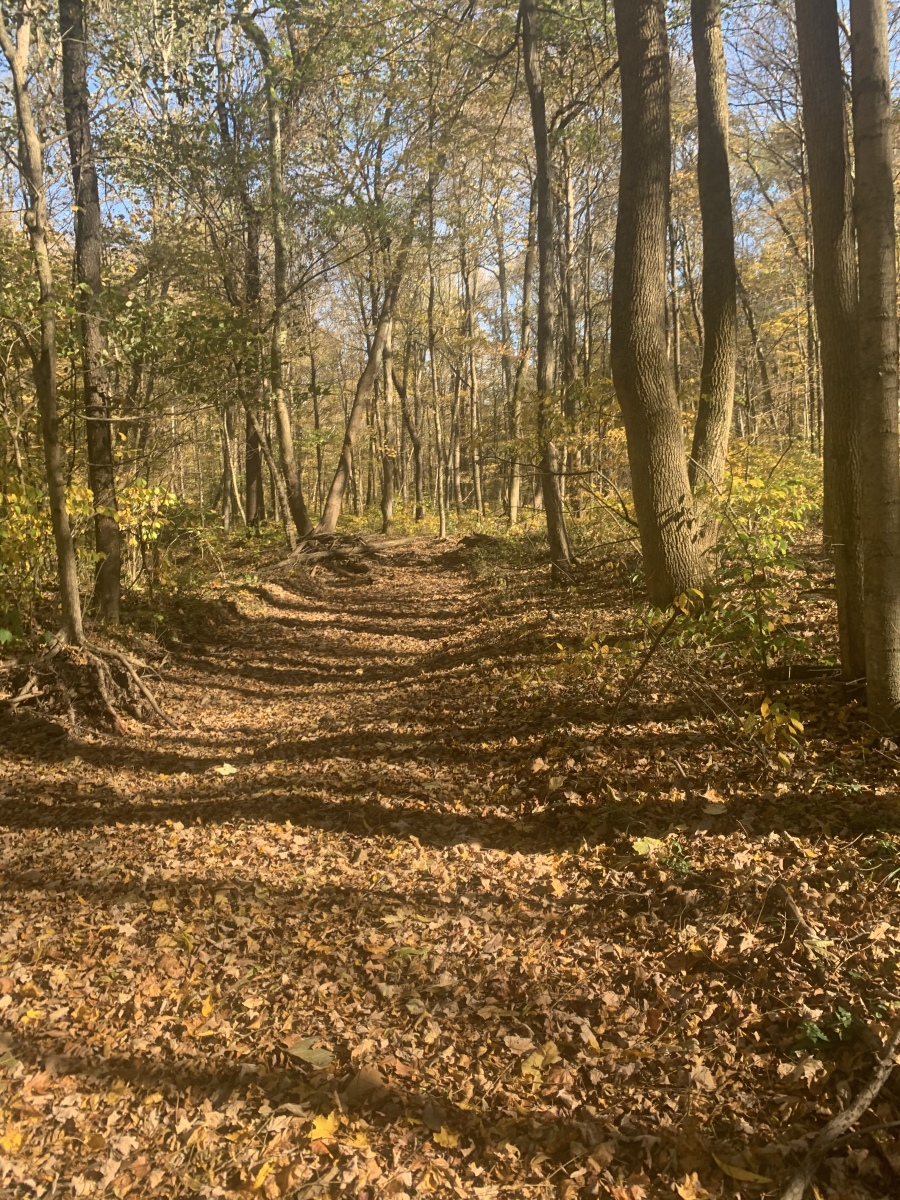 Kick Back Ridge Cabins Glory Days by Kick Back Ridge Cabins