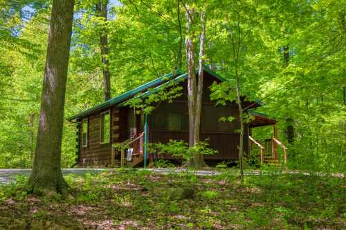 Woods Cabin