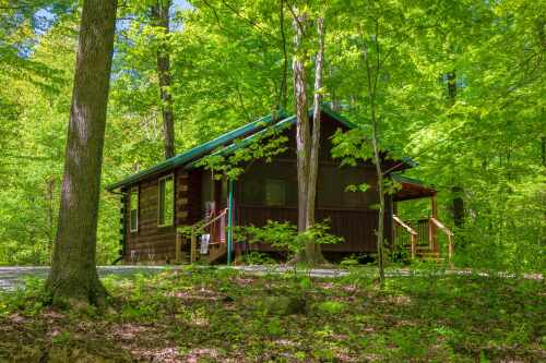 Cabins at Hickory Ridge - Woods Cabin - 