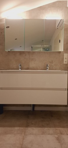 salle de bain avec lavabo et douche