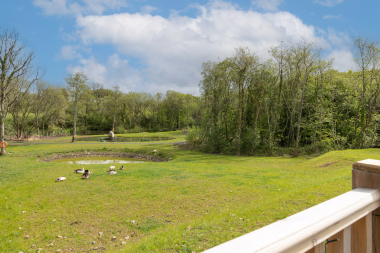 Views from the patio