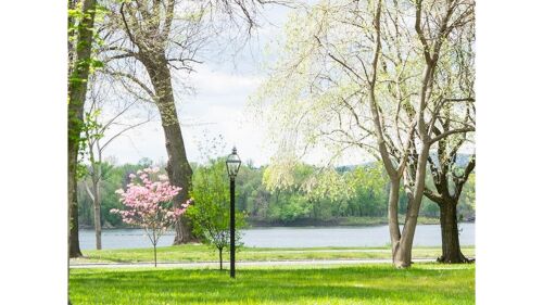 River View