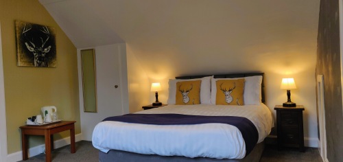 Double room-Standard-Ensuite with Shower-Second Floor - Bed & Breakfast