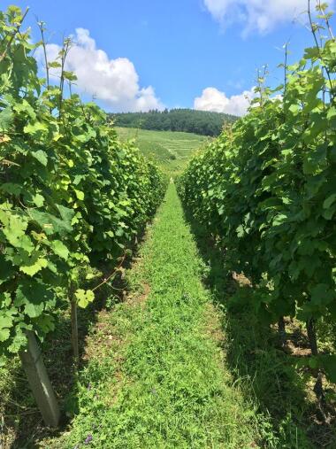 Lit double - Chambre Muscat