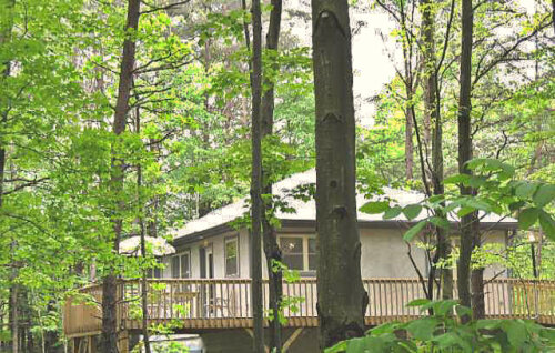Our cabin is located on 22 acres of a private, heavily wooded ridge.
